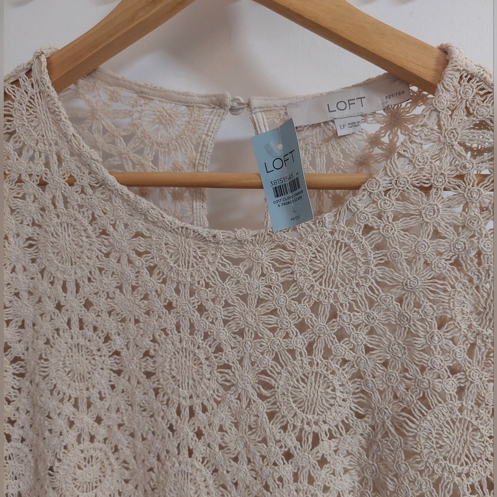 LOFT Cream Long Sleeve Lace Dress - Picture 2 of 5
